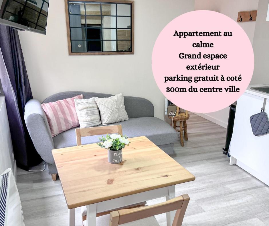 Le Badebec, Appt Dans Maison Typique Avec Jardin Prive Chinon Exterior photo